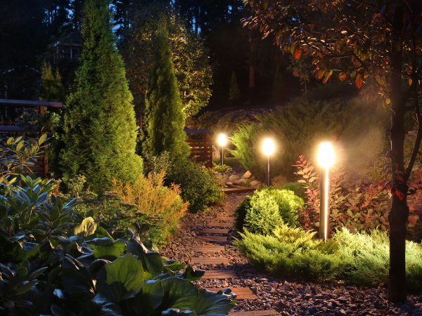 Illuminated home garden path patio lights and plants in evening dusk